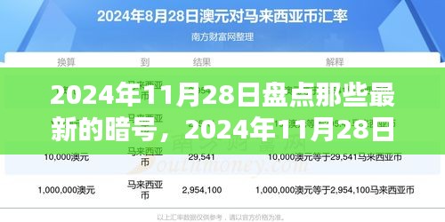 最新暗号盘点与多元视角探讨，揭秘背后的故事（2024年11月28日更新）