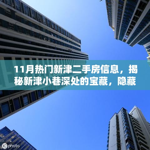 揭秘新津二手房热潮，小巷深处的宝藏与特色小店盘点