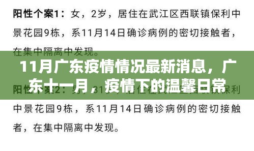 广东十一月疫情下的温馨日常与深厚友情，最新疫情情况回顾