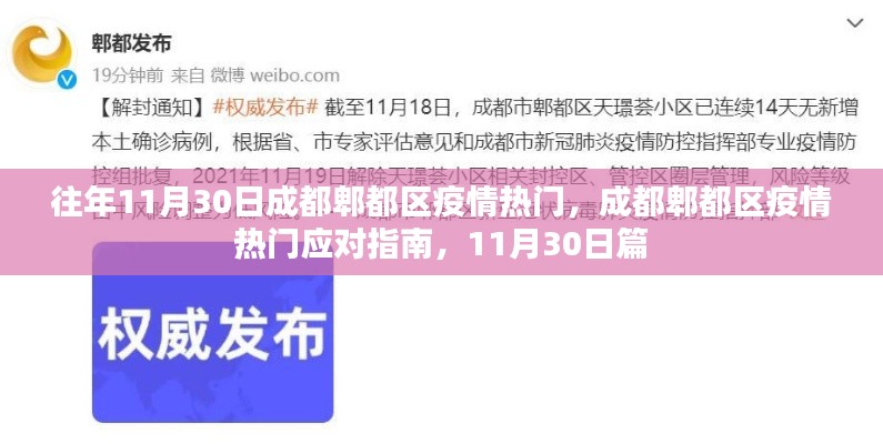 成都郫都区疫情应对指南，热门问题与解答，11月30日篇