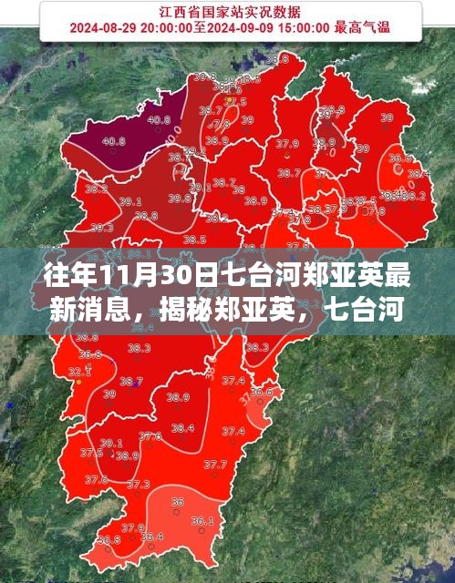 揭秘郑亚英，七台河地区往年11月30日最新消息概览