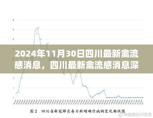 2024年11月30日四川禽流感最新消息深度解析与评测