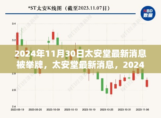 太安堂最新消息揭秘，深度解析被举牌事件，展望未来发展前景（2024年11月30日）