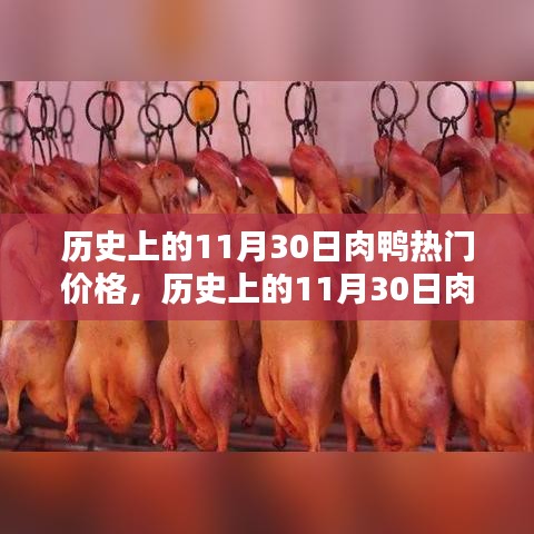 历史上的11月30日肉鸭热门价格深度解析与介绍