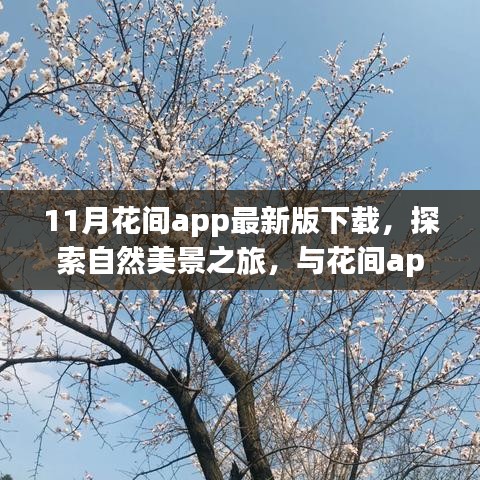 最新花间app下载，探索自然美景，寻找内心桃花源之旅