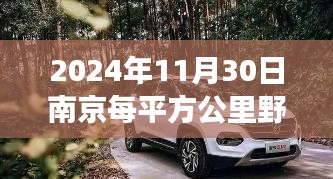 南京野猪数量增长背后的生态故事，2024年11月30日南京每平方公里野猪超四头的新篇章