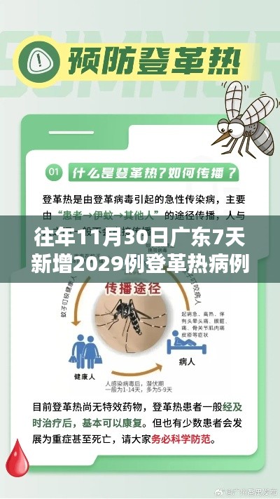 广东登革热病例骤增，深度解析与应对策略（往年11月新增病例达2029例）