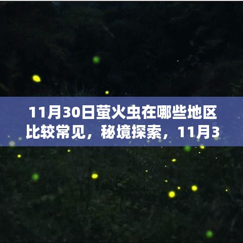 秘境探索，萤火虫飞舞的诗意之地与小巷中的萤火秘境——11月30日萤火虫常见地点一览