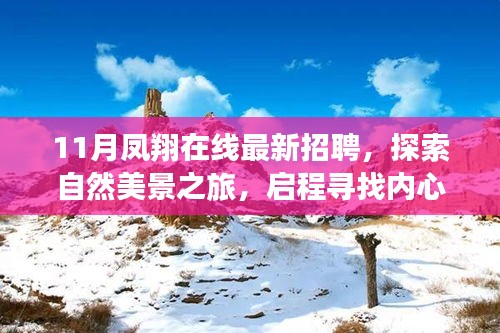 11月凤翔在线招聘启事，共赴自然美景之旅，探寻内心宁静与和谐