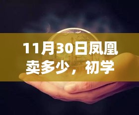 11月30日购买凤凰攻略，初学者也能轻松掌握的详细步骤指南