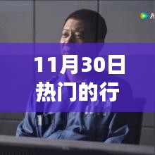 解析，11月30日热门行情与市场走势下的多方博弈个人立场观察