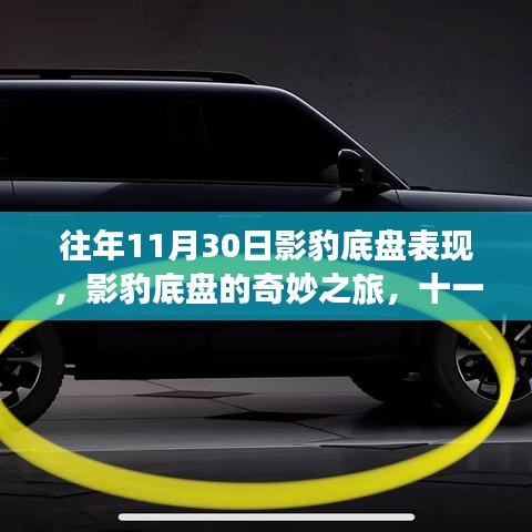 影豹底盘的奇妙之旅，历年11月30日的温馨回顾与独特体验