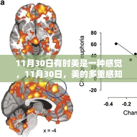 11月30日，美的多重感知之旅