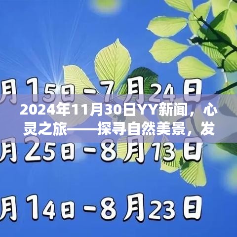 心灵之旅启程，探寻自然美景，感悟内心宁静之美（2024年11月30日YY新闻）