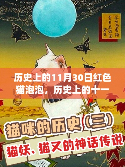 红色猫泡泡的神秘故事，历史上的十一月三十日揭秘