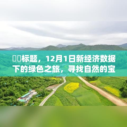 新经济数据下的绿色之旅，探寻自然宝藏，拥抱内心宁静的启程