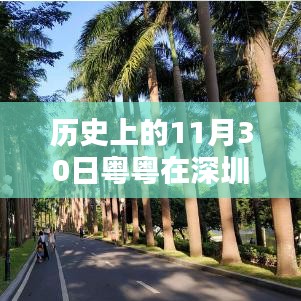 粤粤在深圳的独特印记，历史上的11月30日回顾