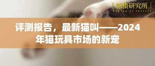 评测报告，揭秘猫玩具市场新宠——2024年猫玩具市场最新趋势报告