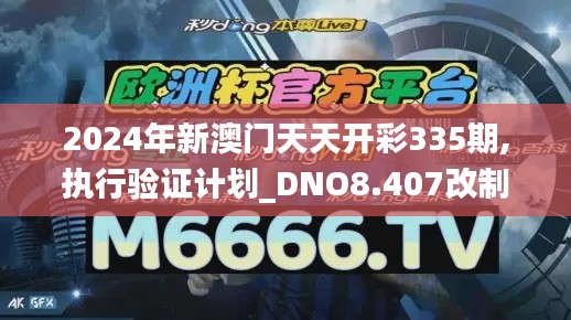 2024年新澳门天天开彩335期,执行验证计划_DNO8.407改制版