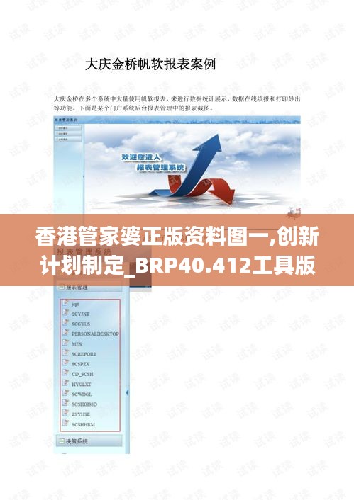 香港管家婆正版资料图一,创新计划制定_BRP40.412工具版