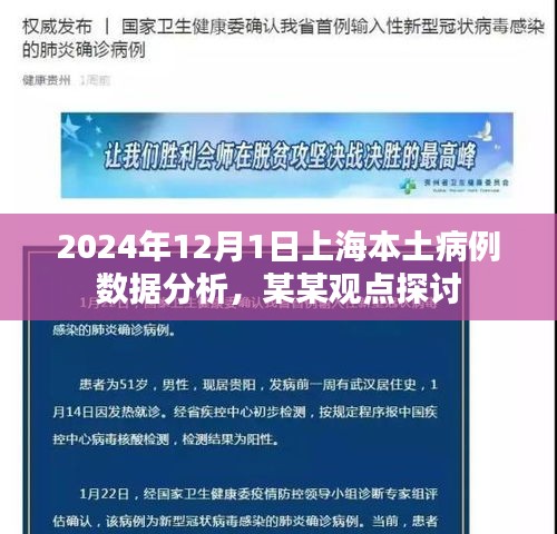 上海本土病例数据分析报告，某某观点下的探讨（2024年12月1日）