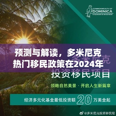 多米尼克移民政策走向预测与深度解读，聚焦2024年12月1日发展动态