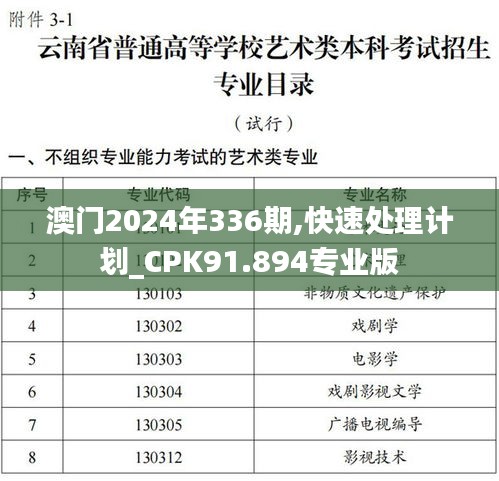 澳门2024年336期,快速处理计划_CPK91.894专业版