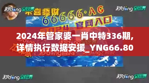 2024年管家婆一肖中特336期,详情执行数据安援_YNG66.801竞技版