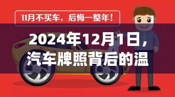 汽车牌照背后的温情故事，探寻背后的故事，感动心灵的时刻在2024年12月1日