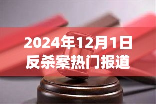 深度剖析，社会现象与法律反思——聚焦2024年反杀案