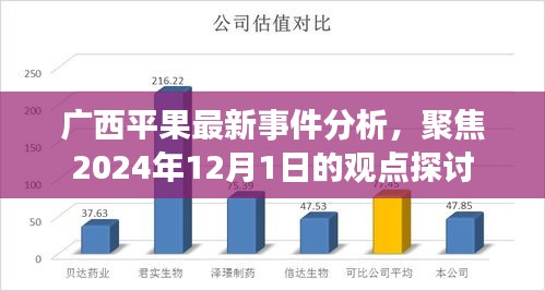 广西平果最新事件深度解析，聚焦2024年观点探讨