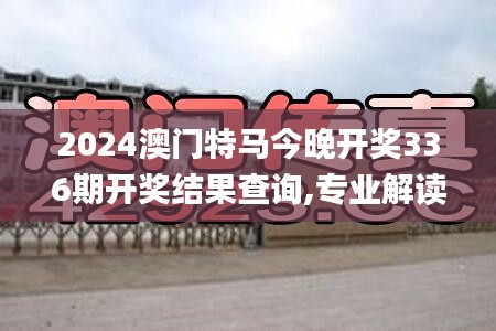 2024澳门特马今晚开奖336期开奖结果查询,专业解读操行解决_SVE12.260世界版