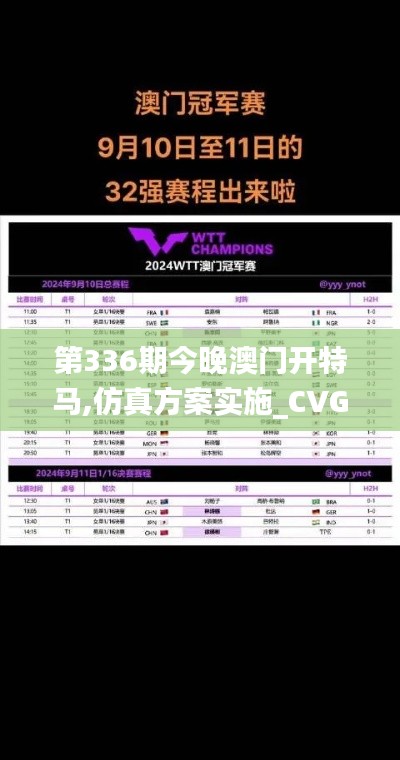 第336期今晚澳门开特马,仿真方案实施_CVG57.416限量版