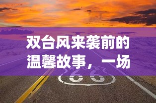 双台风来临前的温情追逐，爱与勇气的故事