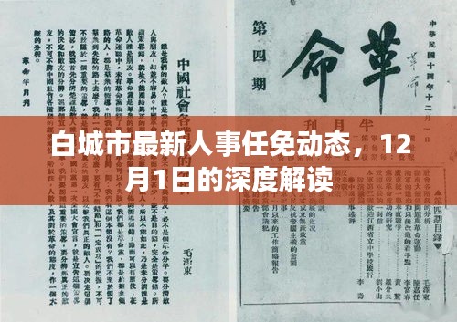 白城市人事任免动态深度解读，最新人事调整及影响分析