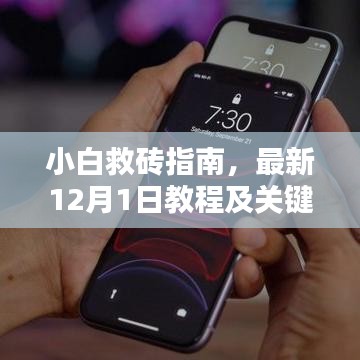 小白救砖指南，最新教程与关键要点解析（12月1日版）