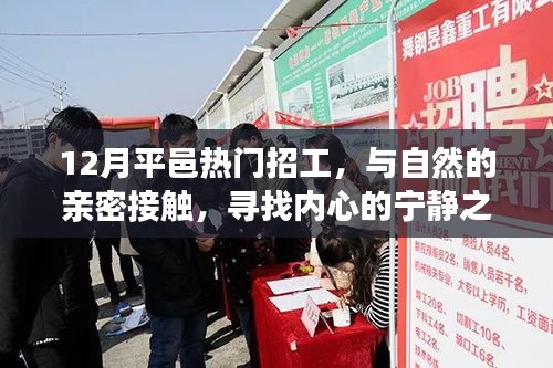 12月平邑热门招工，与自然共舞，探寻内心宁静之旅