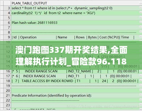 澳门跑图337期开奖结果,全面理解执行计划_冒险款96.118-6