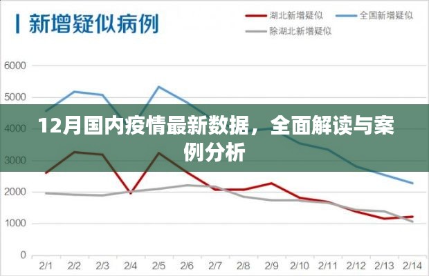 全面解读与案例分析，12月国内疫情最新数据报告