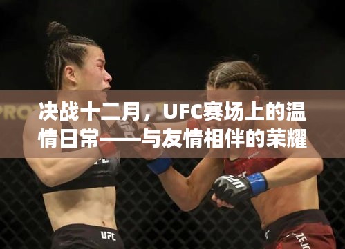 决战十二月，UFC赛场上的温情与荣耀时刻