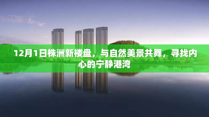 株洲新楼盘与自然美景共舞，内心的宁静港湾探索（12月1日）