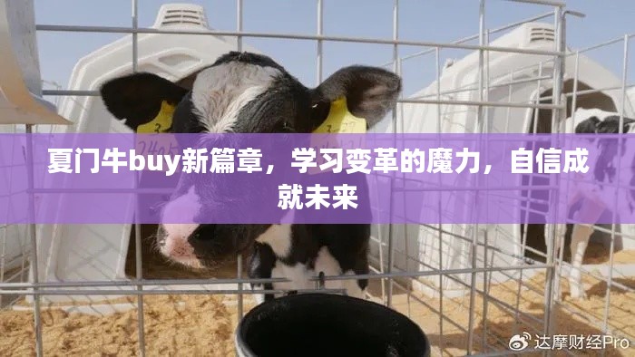 夏门牛buy新篇章，学习变革与自信成就未来之路