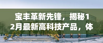 2024年12月2日 第6页