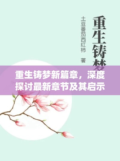 重生铸梦新篇章，深度解析最新章节及其启示影响