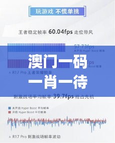 澳门一码一肖一待一中四不像337期,稳定解析策略_移动版119.928-5