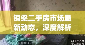 铜梁二手房市场最新动态深度解析，12月2日最新消息汇总