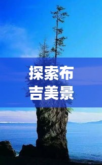 探索布吉美景，寻找内心平静的旅程，揭秘布吉未来热门新去处预测 2024年展望