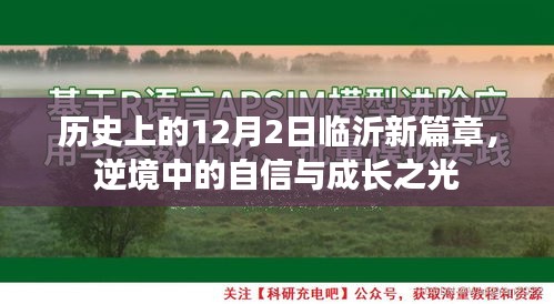 临沂新篇章，逆境中的自信与成长之光的闪耀历程（12月2日）