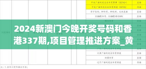 2024新澳门今晚开奖号码和香港337期,项目管理推进方案_黄金版94.539-9