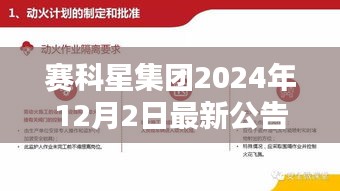 赛科星集团最新公告全面评测与介绍（2024年12月2日）